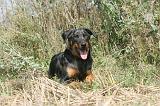 BEAUCERON 103